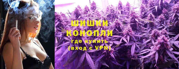 ALPHA PVP Корсаков