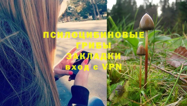 ALPHA PVP Корсаков