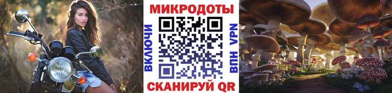 Купить Купино Псилоцибиновые грибы ЛСД